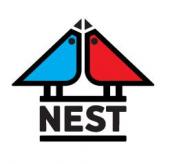 логотип  АН «Nest»