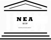 логотип  АН «Nea Group»