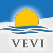 логотип  АН «VEVI»