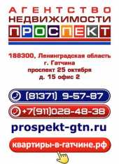логотип  АН «ПРОСПЕКТ»