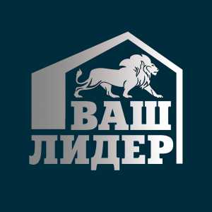логотип  АН «ВАШ ЛИДЕР»
