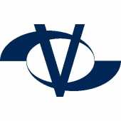 логотип  АН «Vizus»