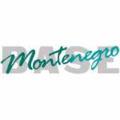логотип  АН «MonteBASE»