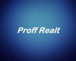 логотип  АН «Proff Realt»