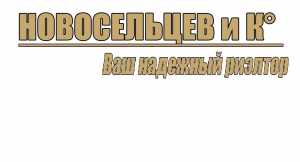 логотип  АН «Новосельцев и К°»