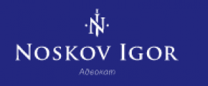 логотип  Компания «Носков Игорь»