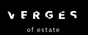 логотип  АН «Verges of Estate»