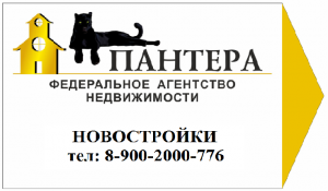 логотип  АН «Федеральное агентство недвижимости Пантера»