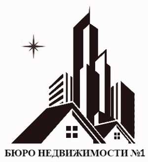 логотип  АН «БЮРО НЕДВИЖИМОСТИ №1»
