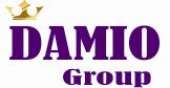 логотип  АН «DAMIO Group»