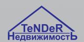логотип  АН «TeNDeR-Недвижимость»