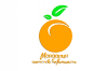 логотип  АН «Мандарин»