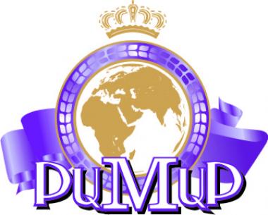 логотип  АН «РиМиР»