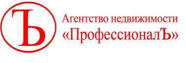 логотип  АН «ПрофессионалЪ»