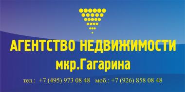 логотип  АН «мкр. Гагарина»
