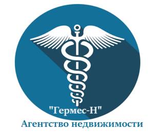 логотип  АН «ГЕРМЕС-Н»