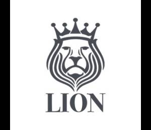 логотип  АН «Lion»