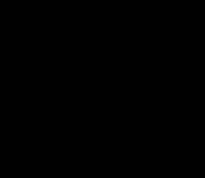 логотип  АН «КЛМ ДОМ»