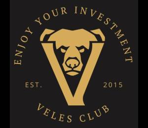 логотип  АН «VELES CLUB»