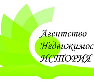 логотип  АН «История»