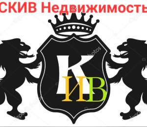 логотип  АН «СКИВ»